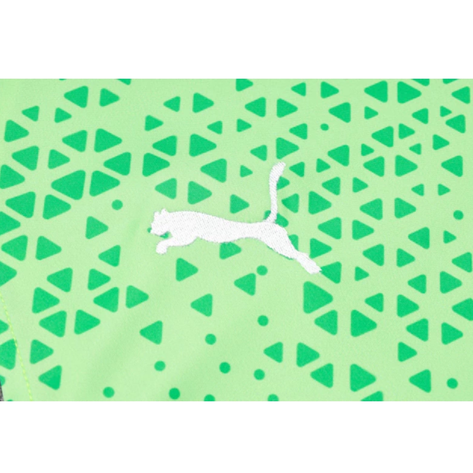 Training Kit - Palmeiras 24/25 - Sleeveless