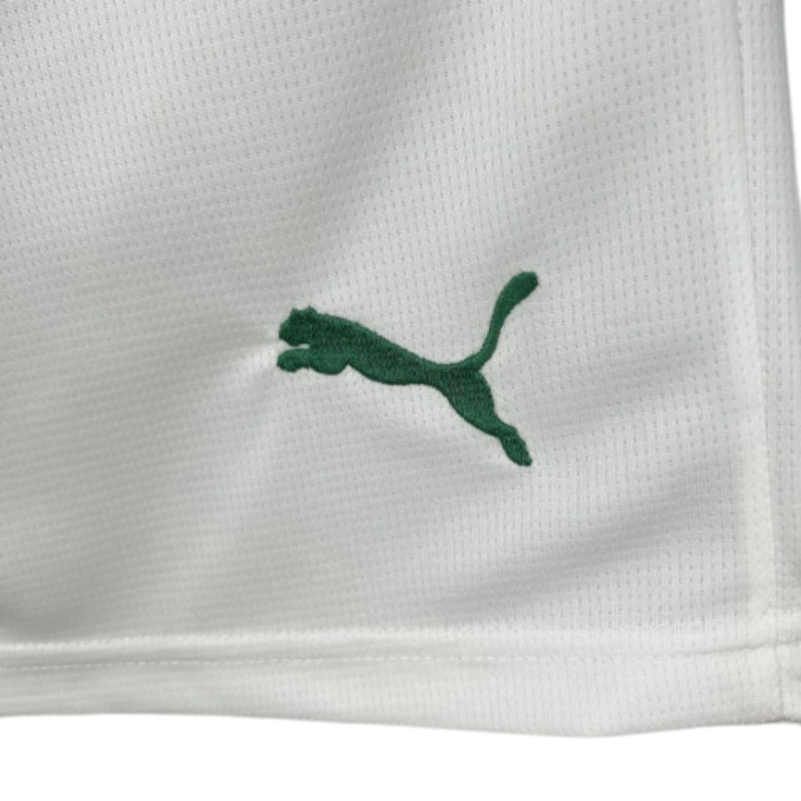 Shorts - Palmeiras Home 25/26