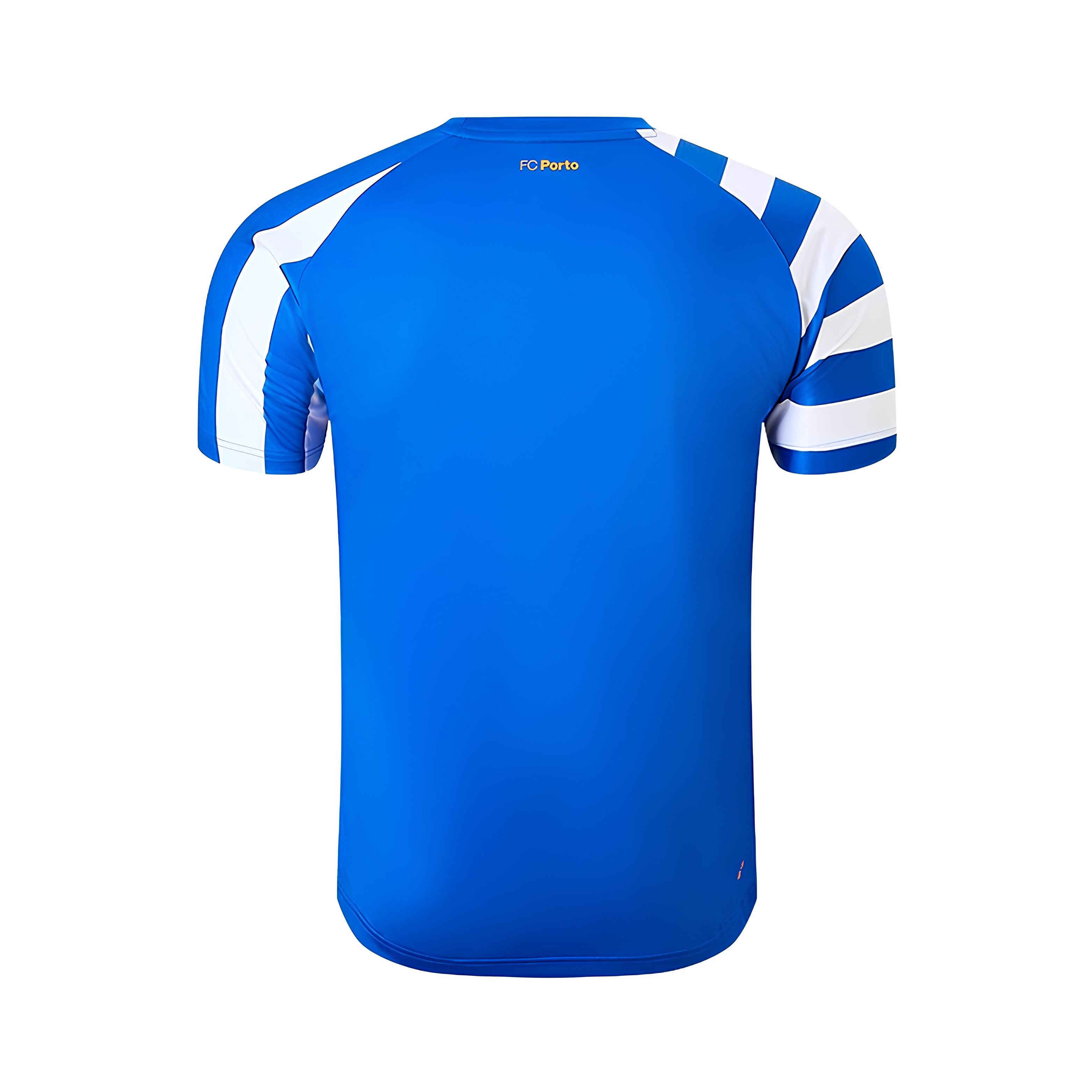 FC Porto Pre-Match 24/25