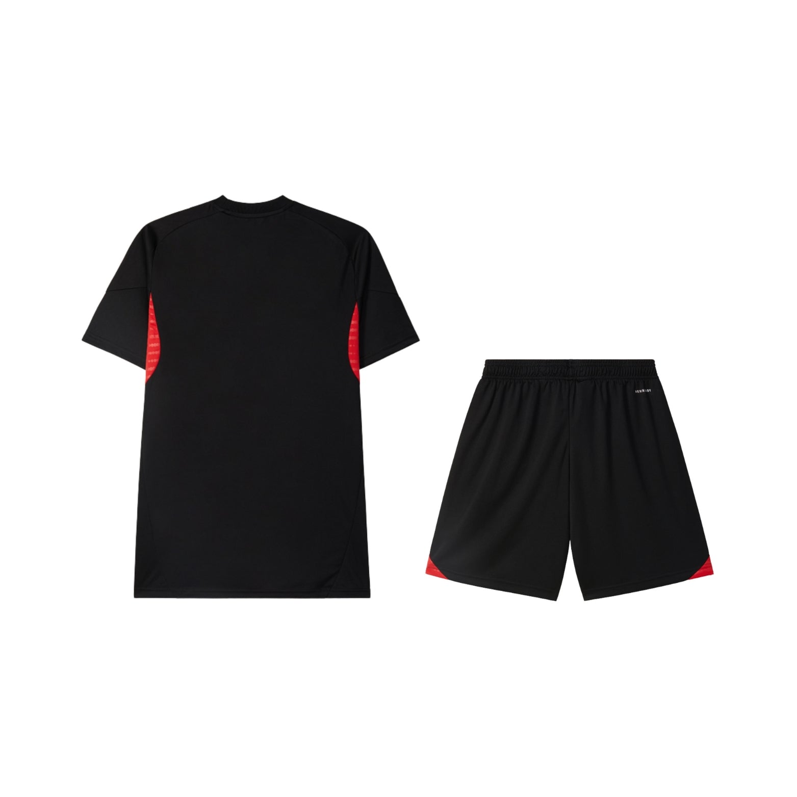 Training Kit - Benfica 25/26 - Polo Shirt