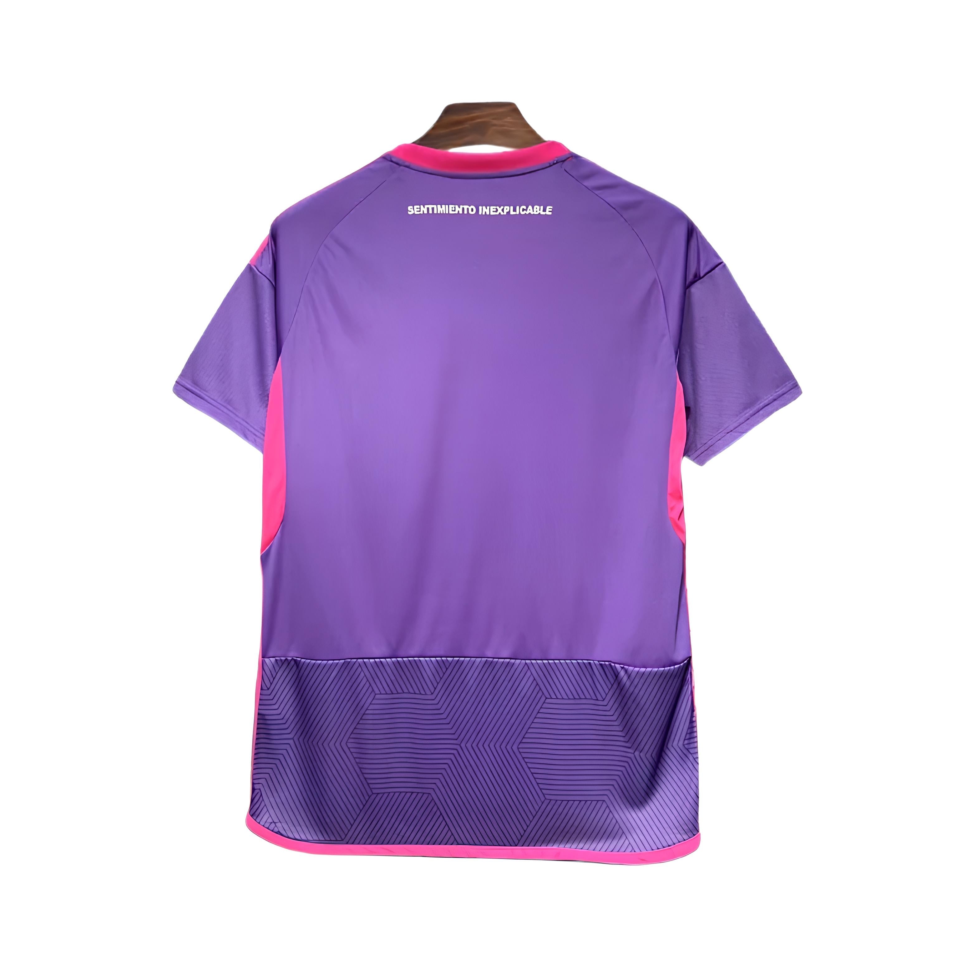 Universidad de Chile Third 24/25