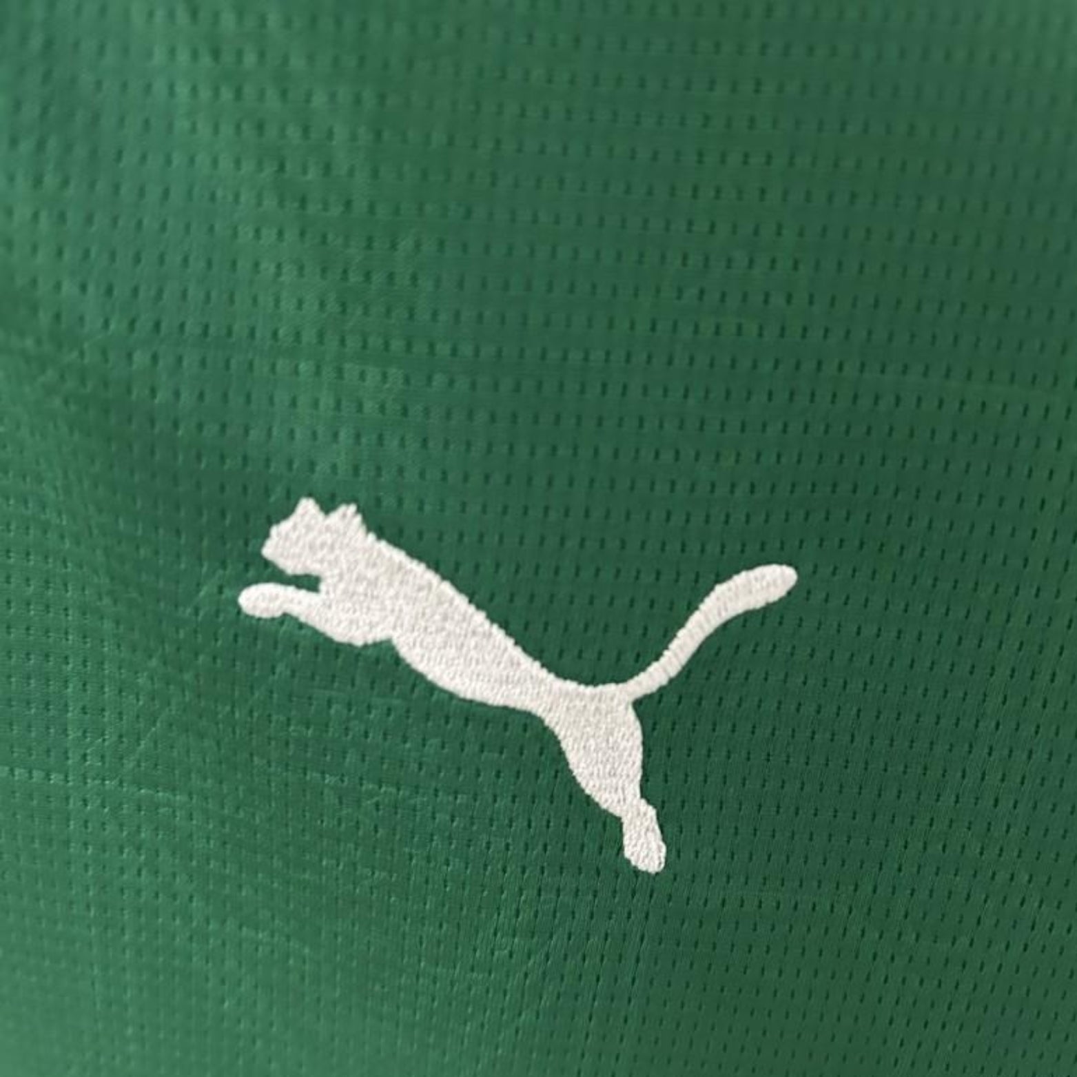 Palmeiras Home 25/26 - Women’s Version