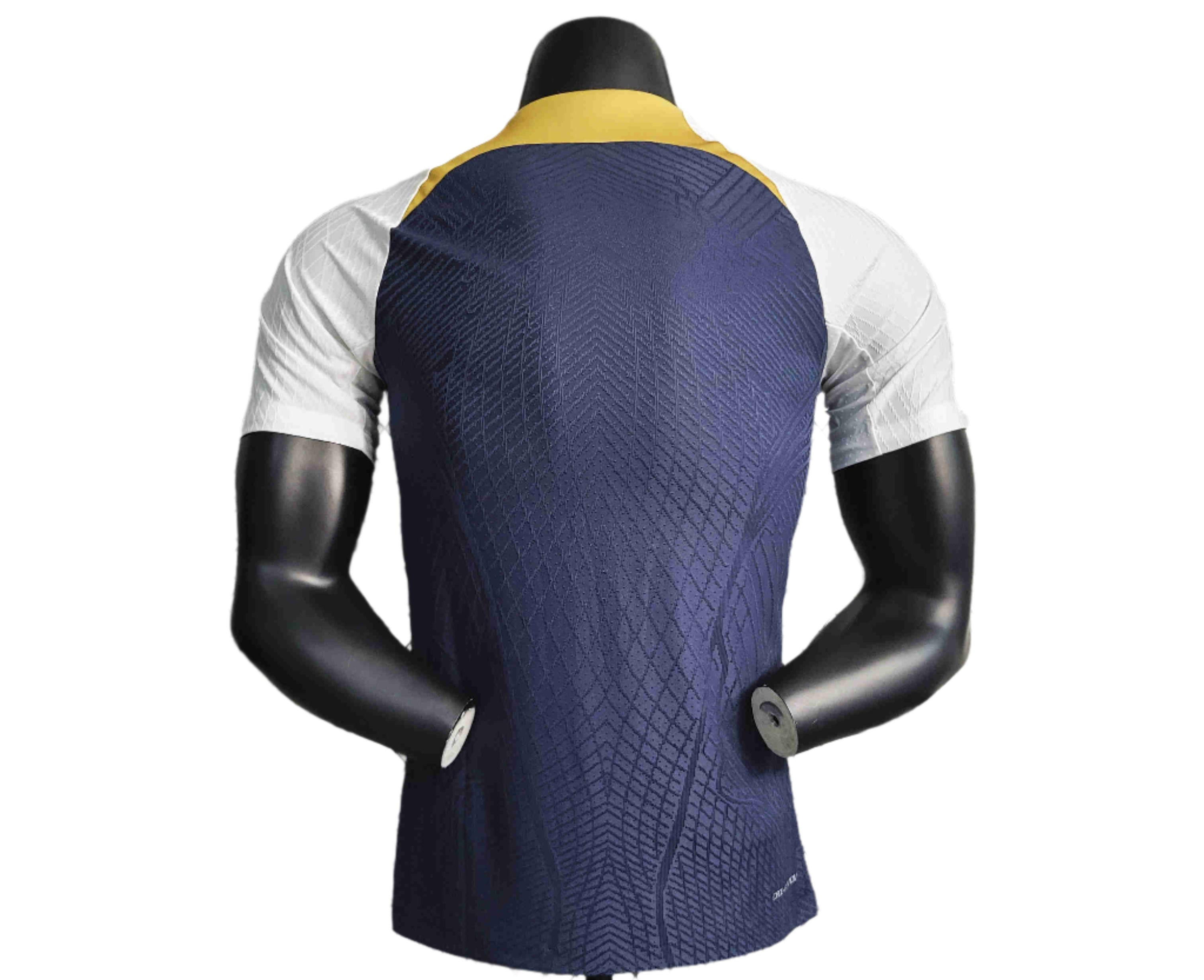 Chelsea Training 23/24 - Player Version