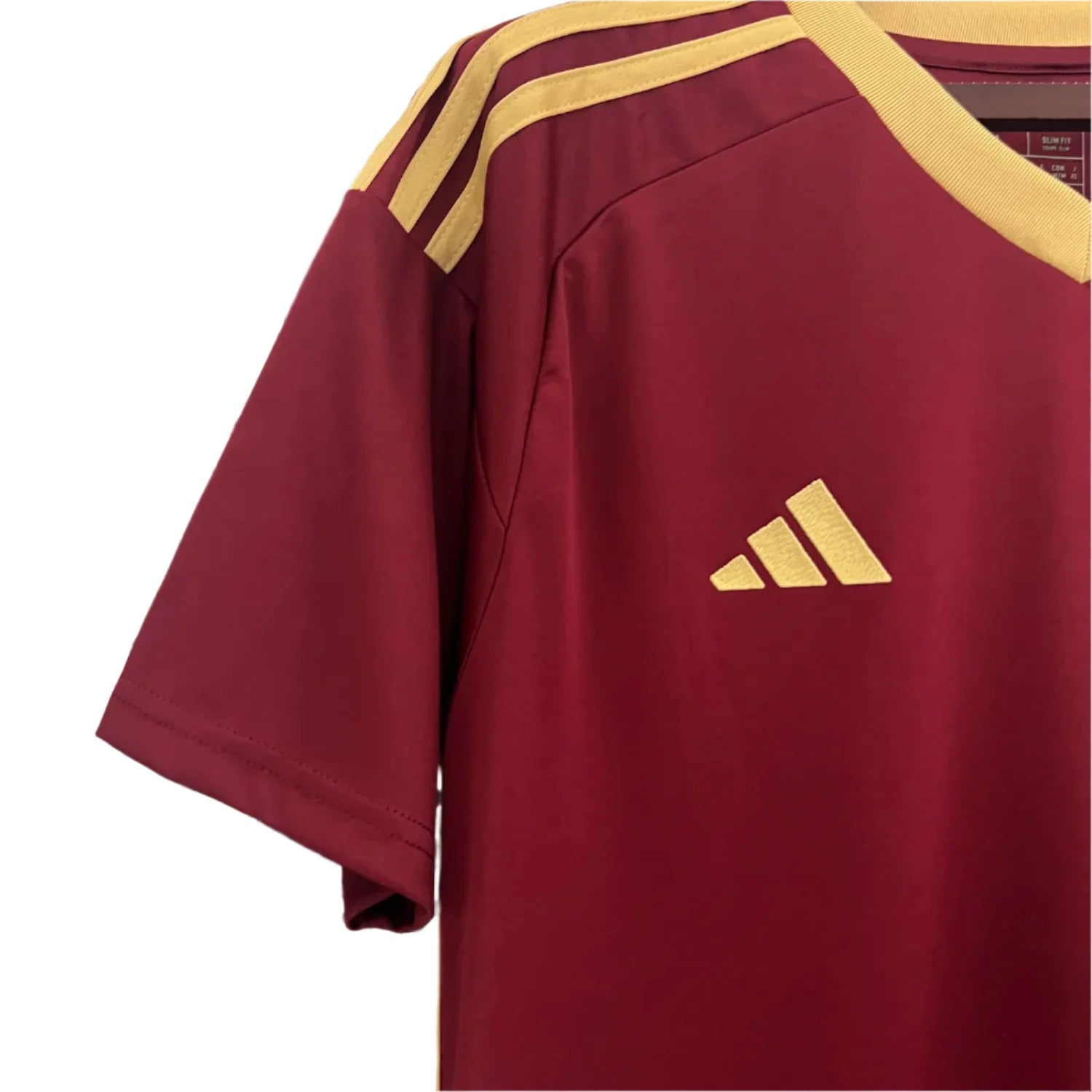 Venezuela Principal 24/25 - Game Day