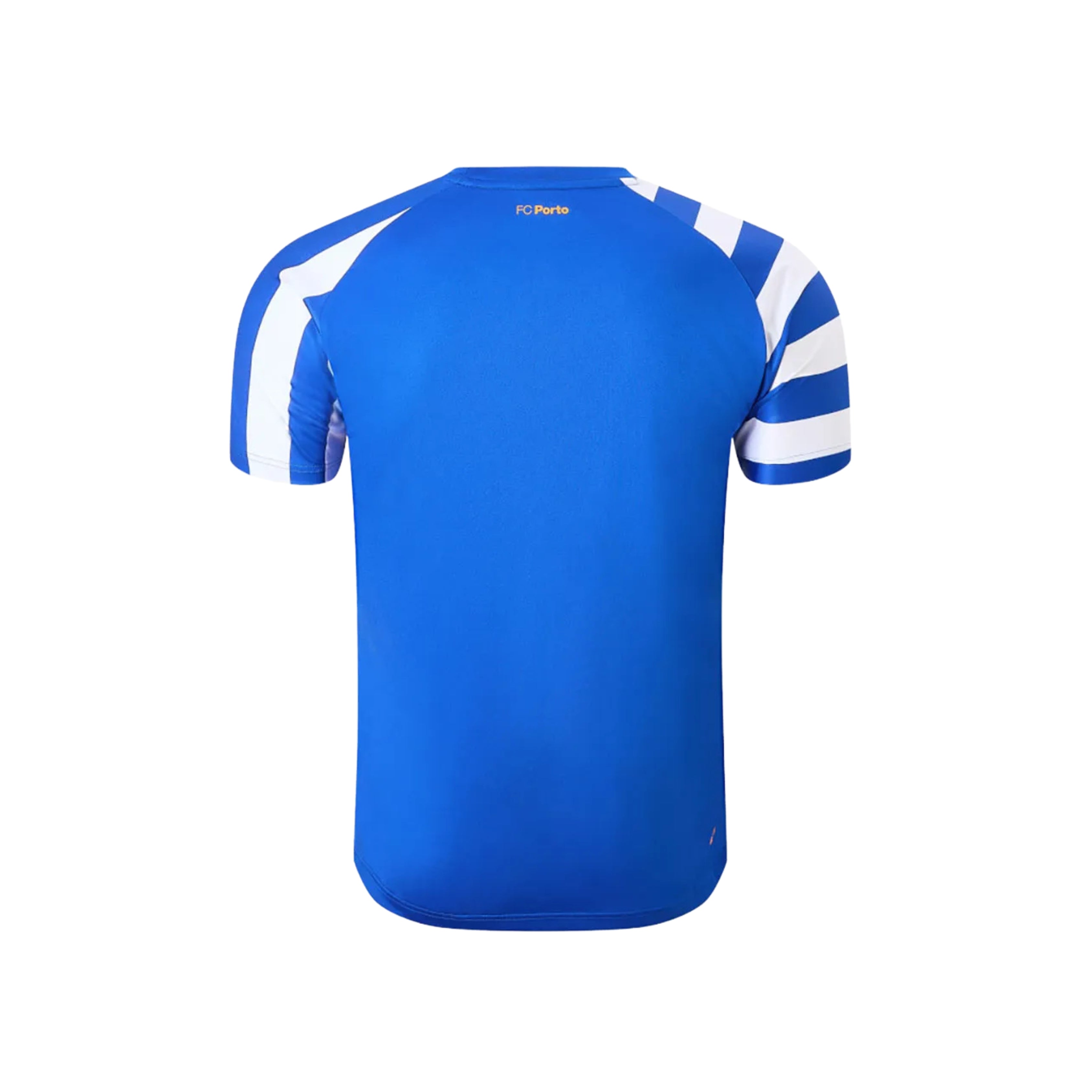 FC Porto Pre-Match 24/25