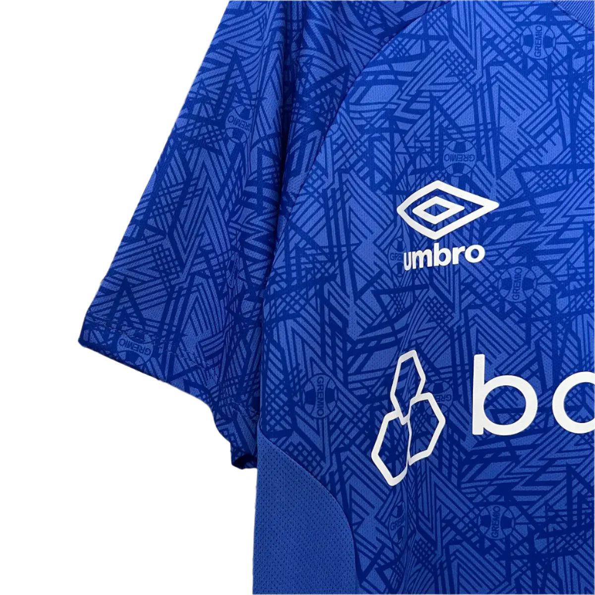 Grêmio Training 24/25