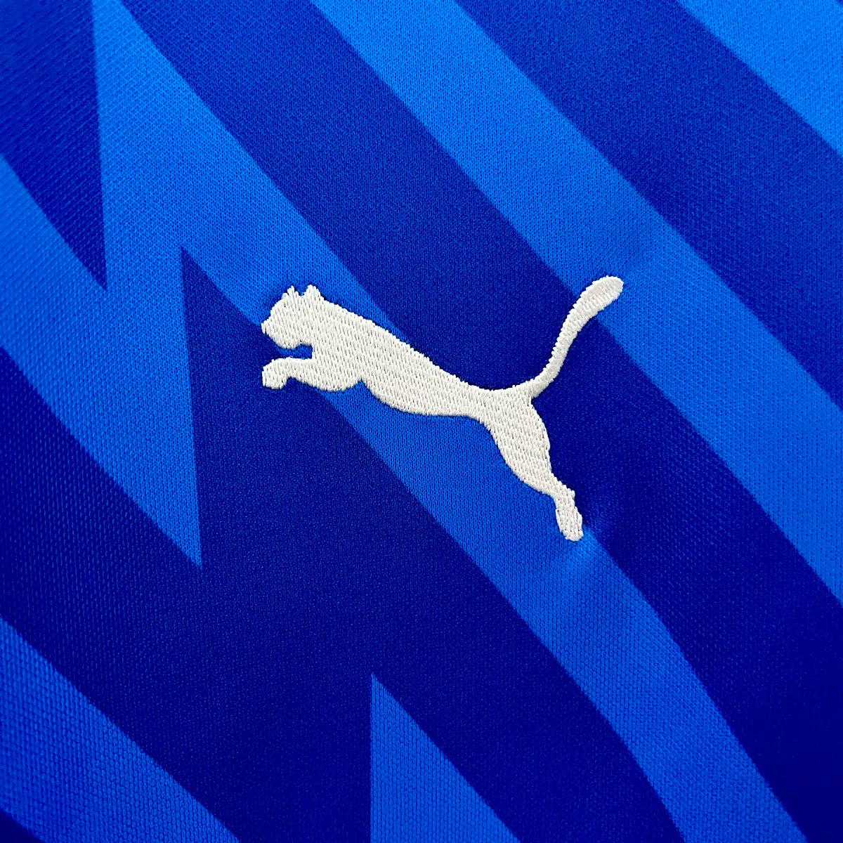 Palmeiras Goalkeeper 24/25