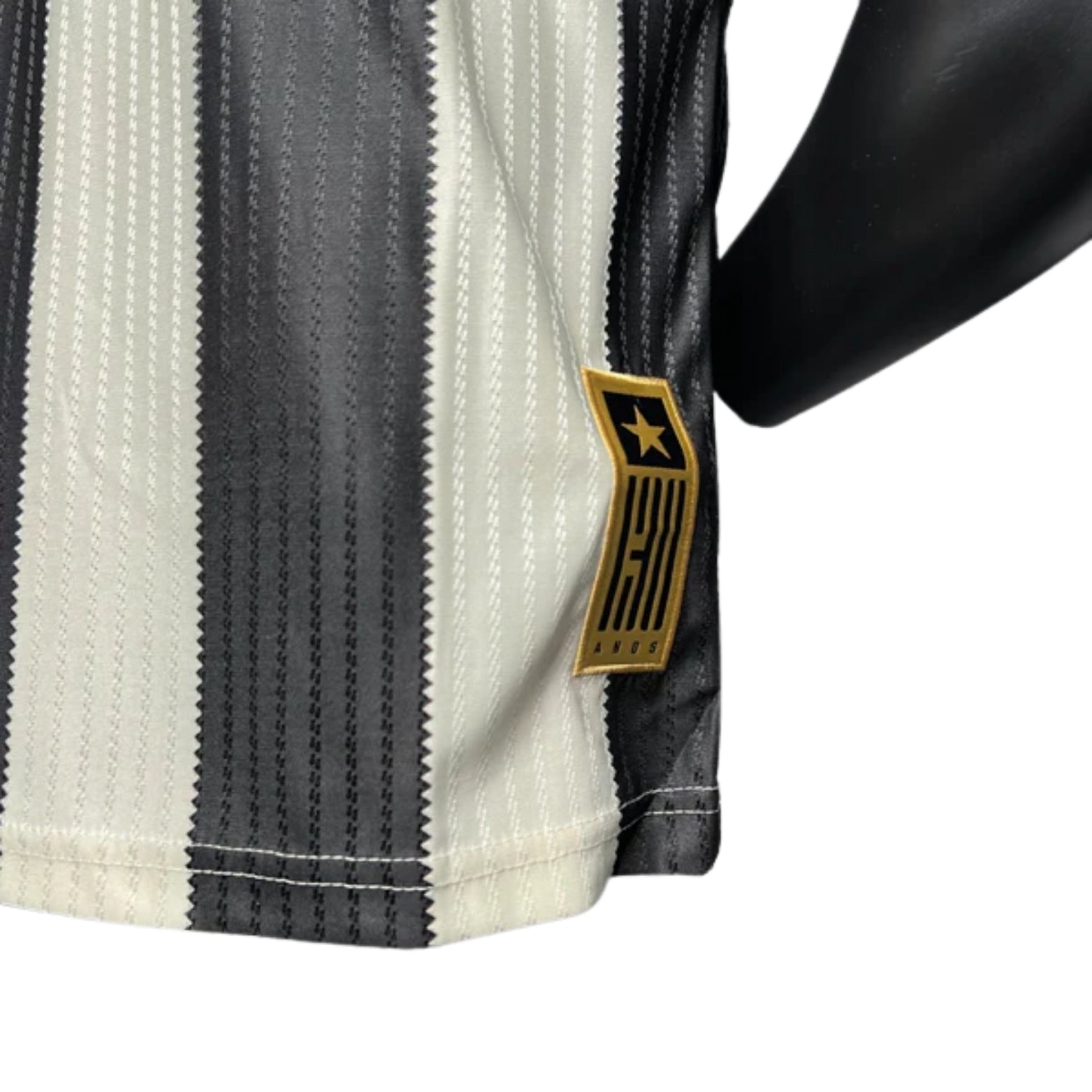 Botafogo Home 24/25 - Player Version