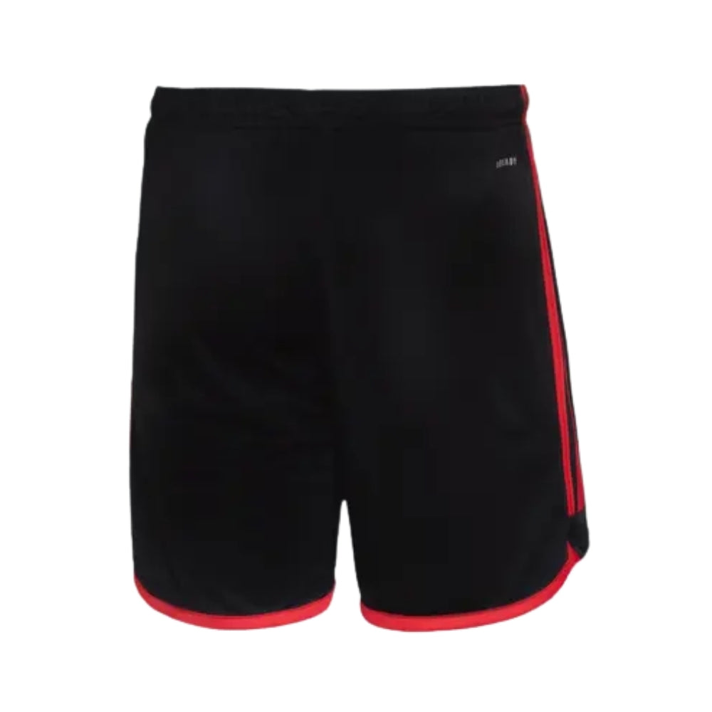 Shorts - Flamengo Away 24/25
