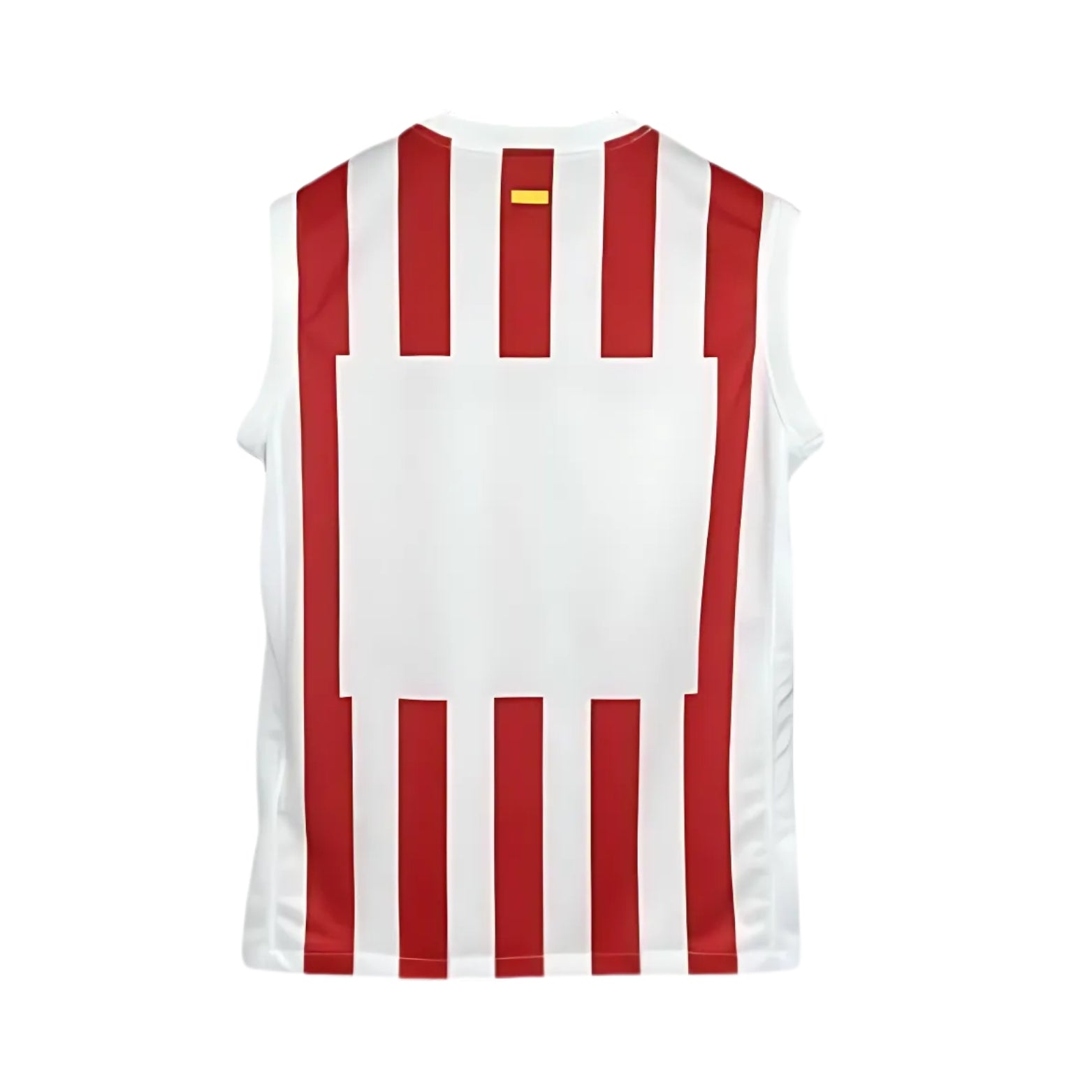 Atlético Madrid Training 25/26 - Sleeveless