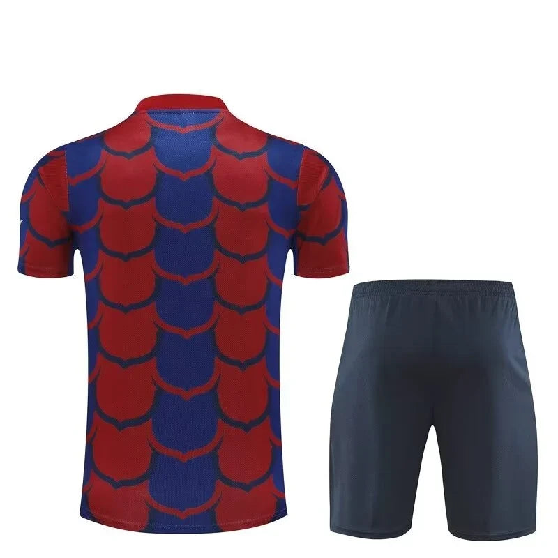 Training Kit - Barcelona 23/24
