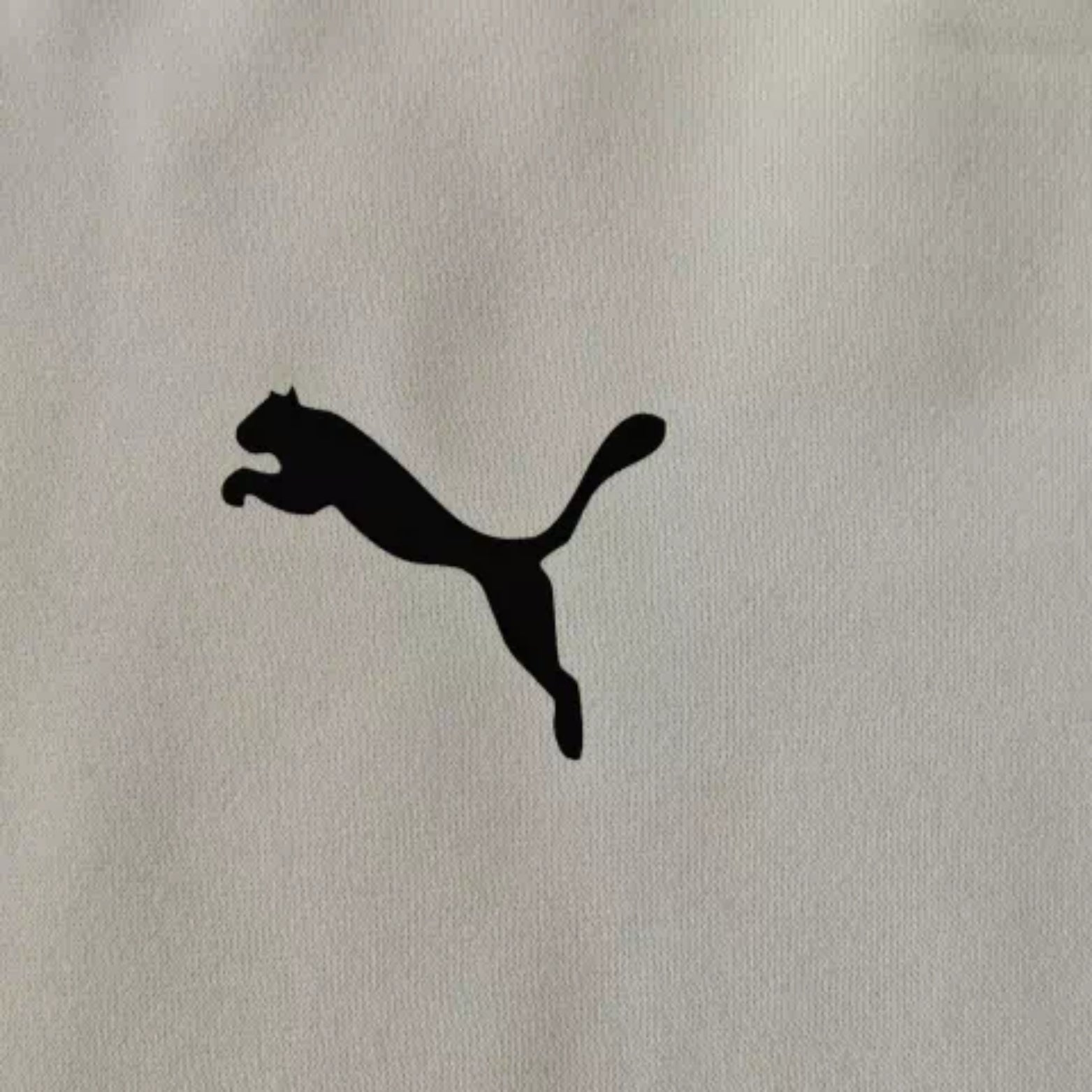 Palmeiras 25/26 - Hoodie