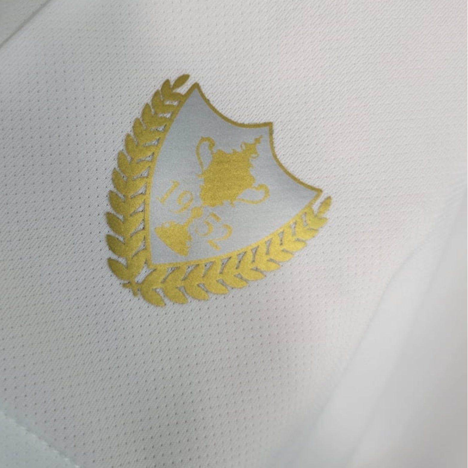 Fluminense Training 23/24 - Sleeveless