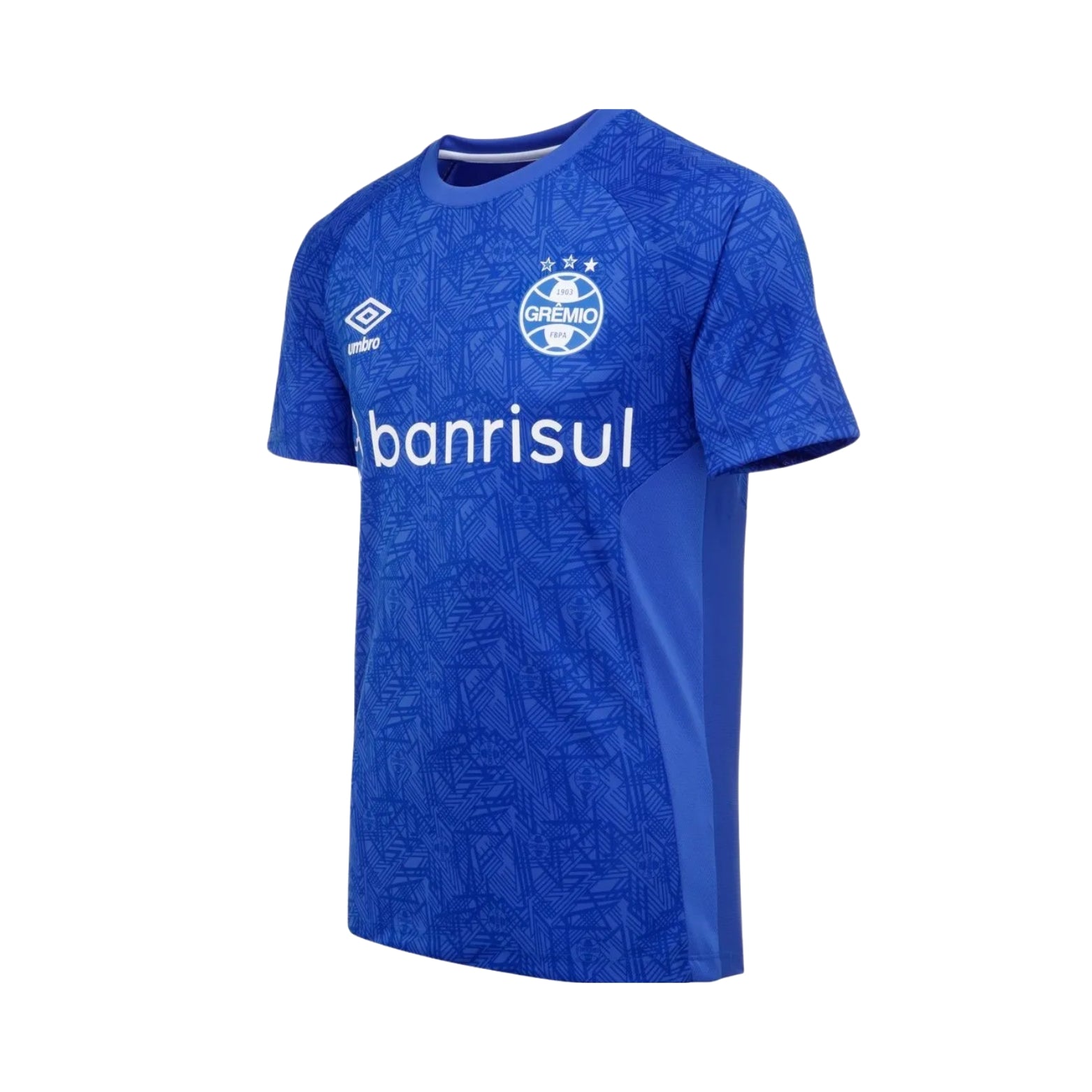 Grêmio Training 24/25