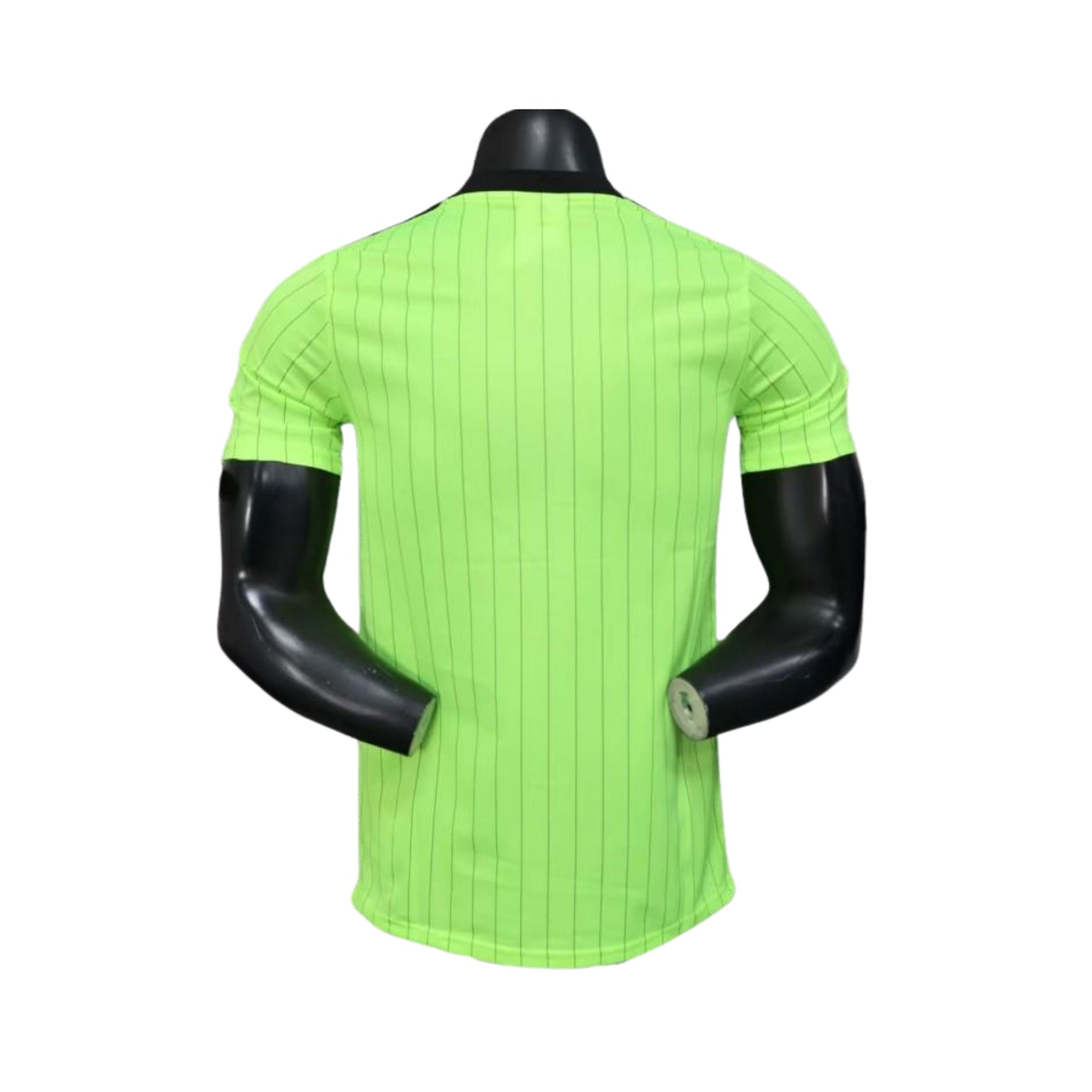 Celtic Special Edition 25/26 - Player Version