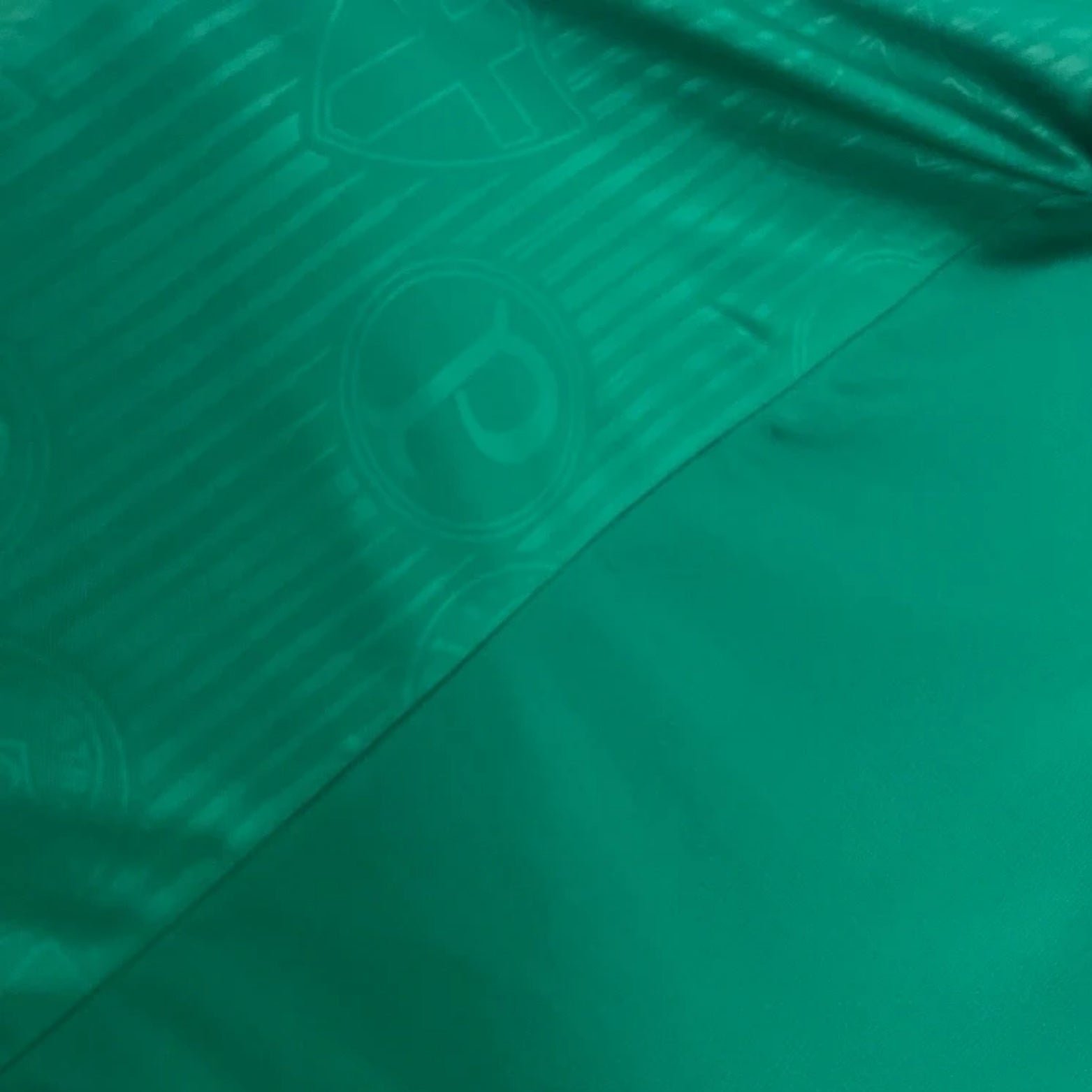 Palmeiras Training 23/24 - Sleeveless