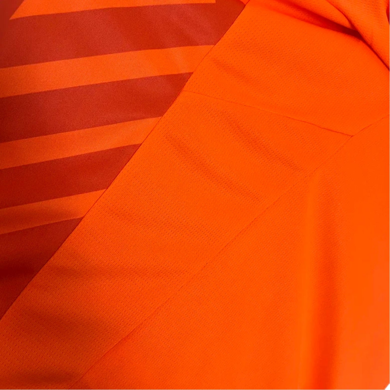 Palmeiras Goalkeeper 24/25