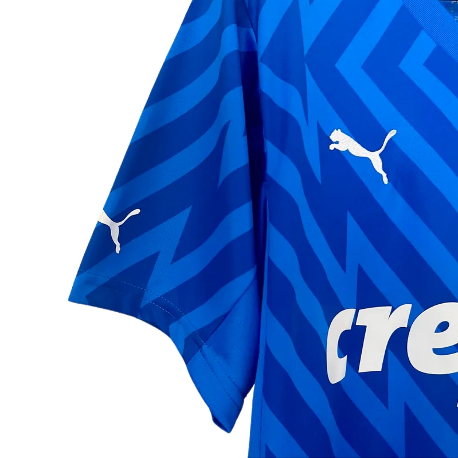 Palmeiras Goalkeeper 24/25