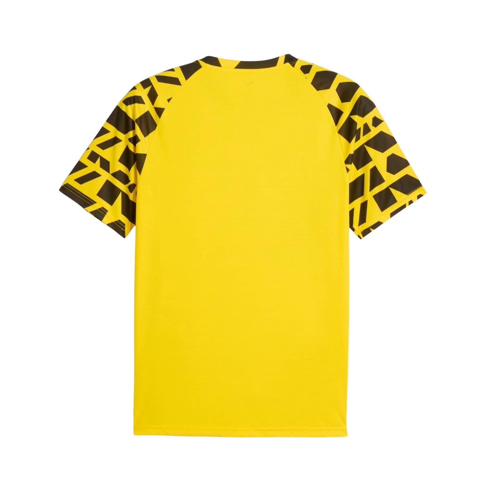 Borussia Dortmund Pre-Match 25/26