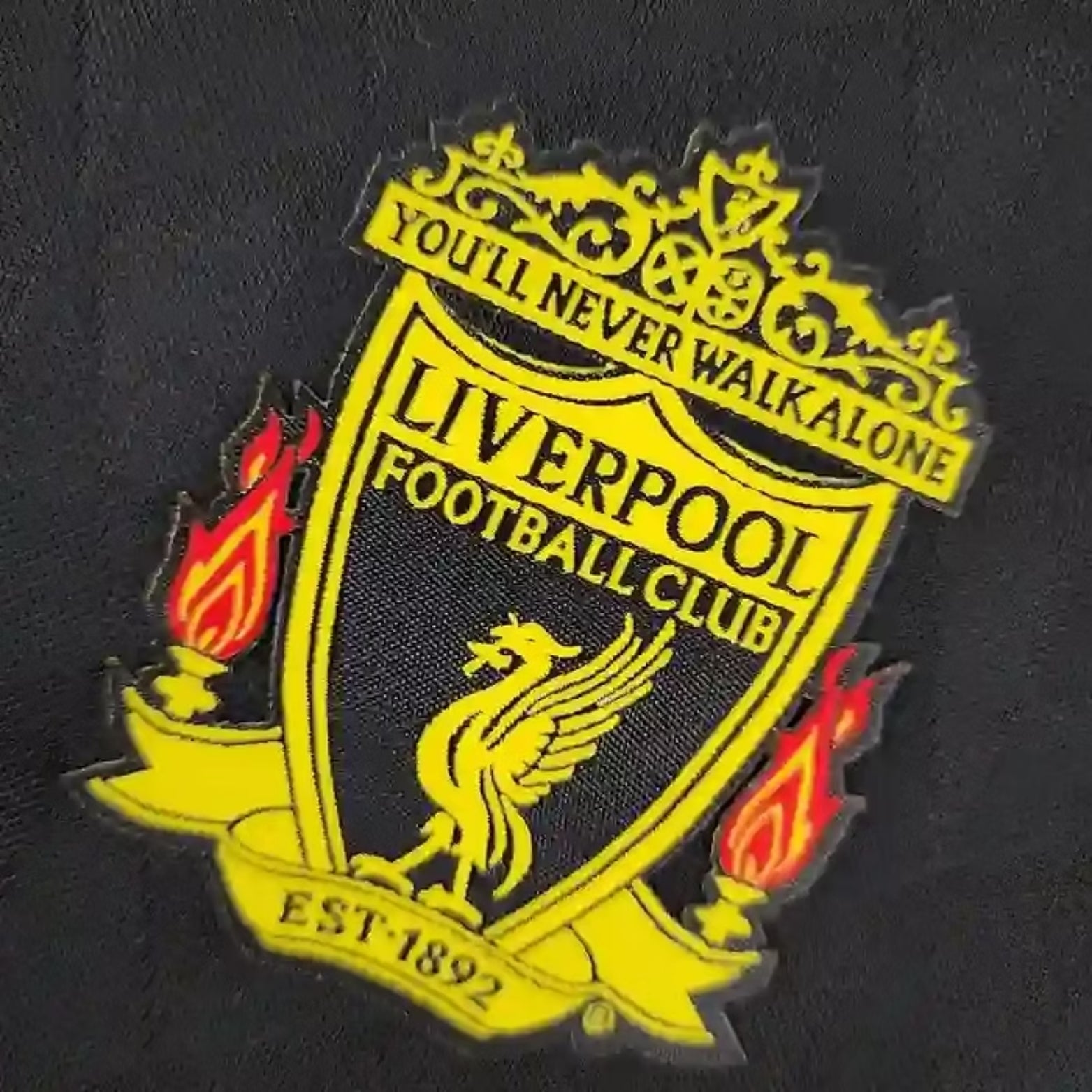 Liverpool Third 10/11