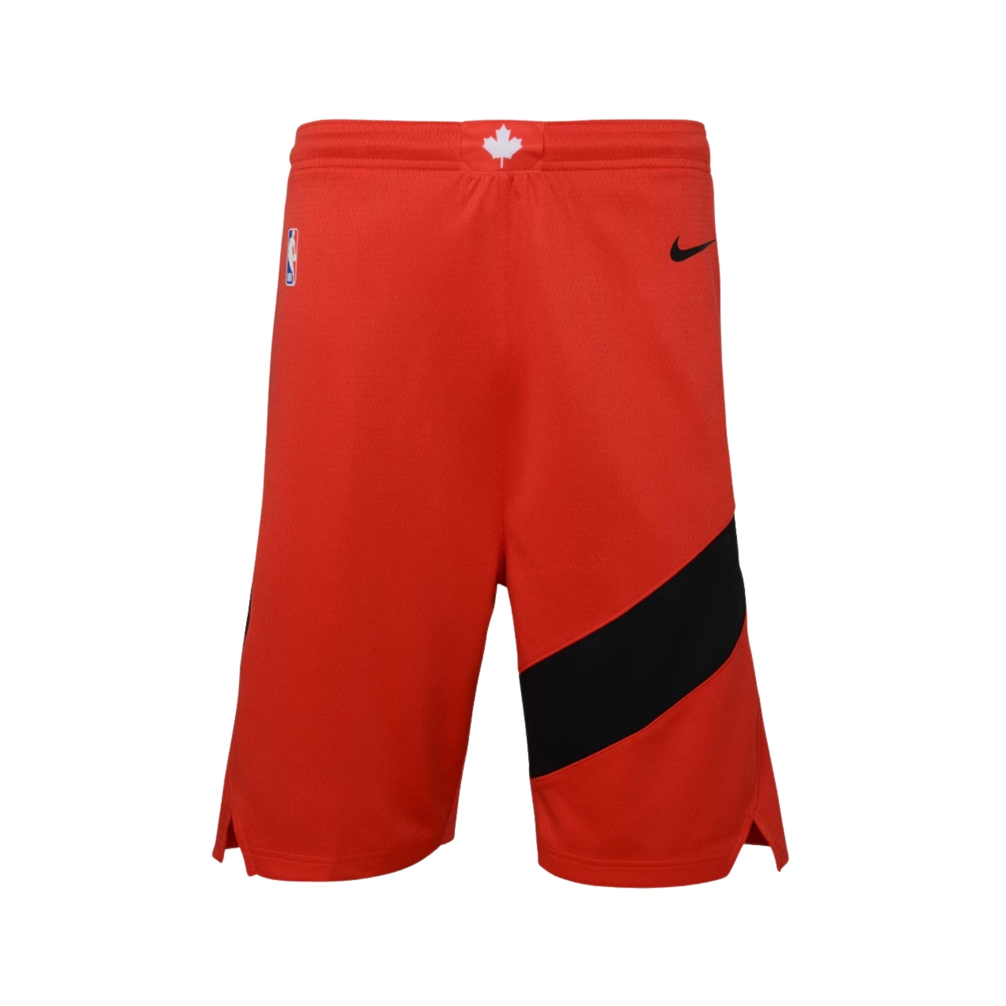 Toronto Raptors Icon Edition 25/26