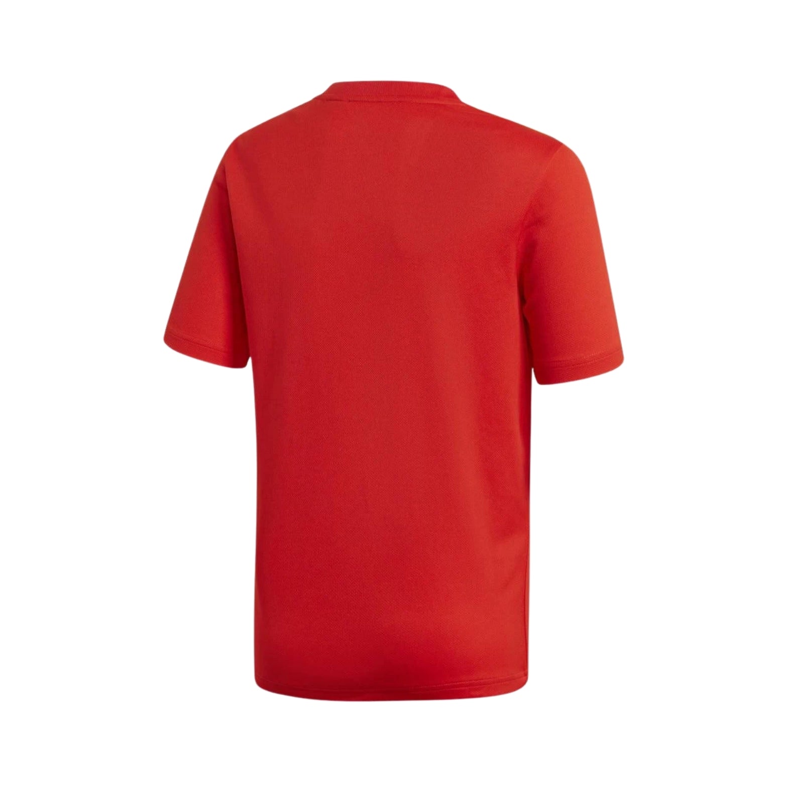 Spain Home 18/19