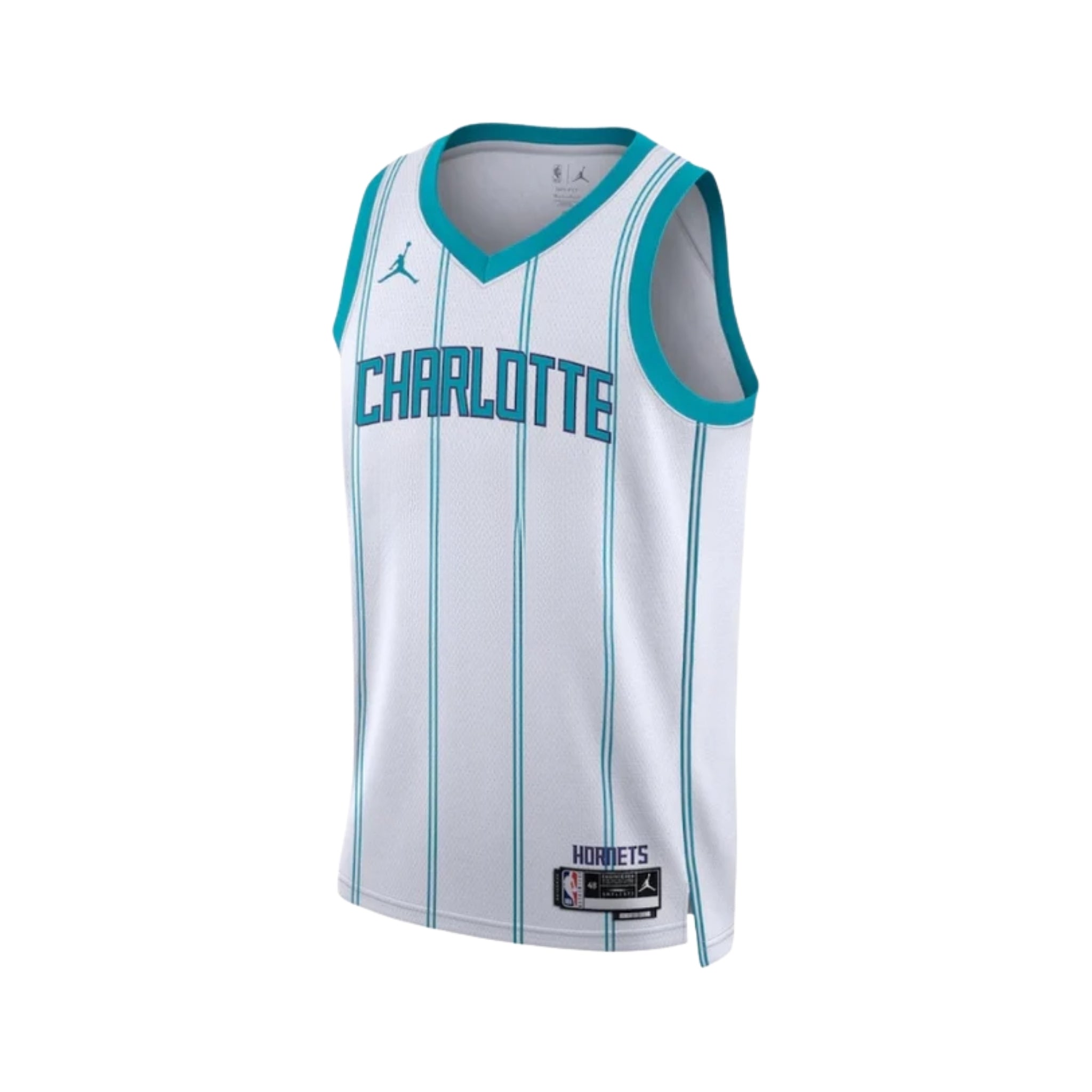 Charlotte Hornets Association Edition 25/26