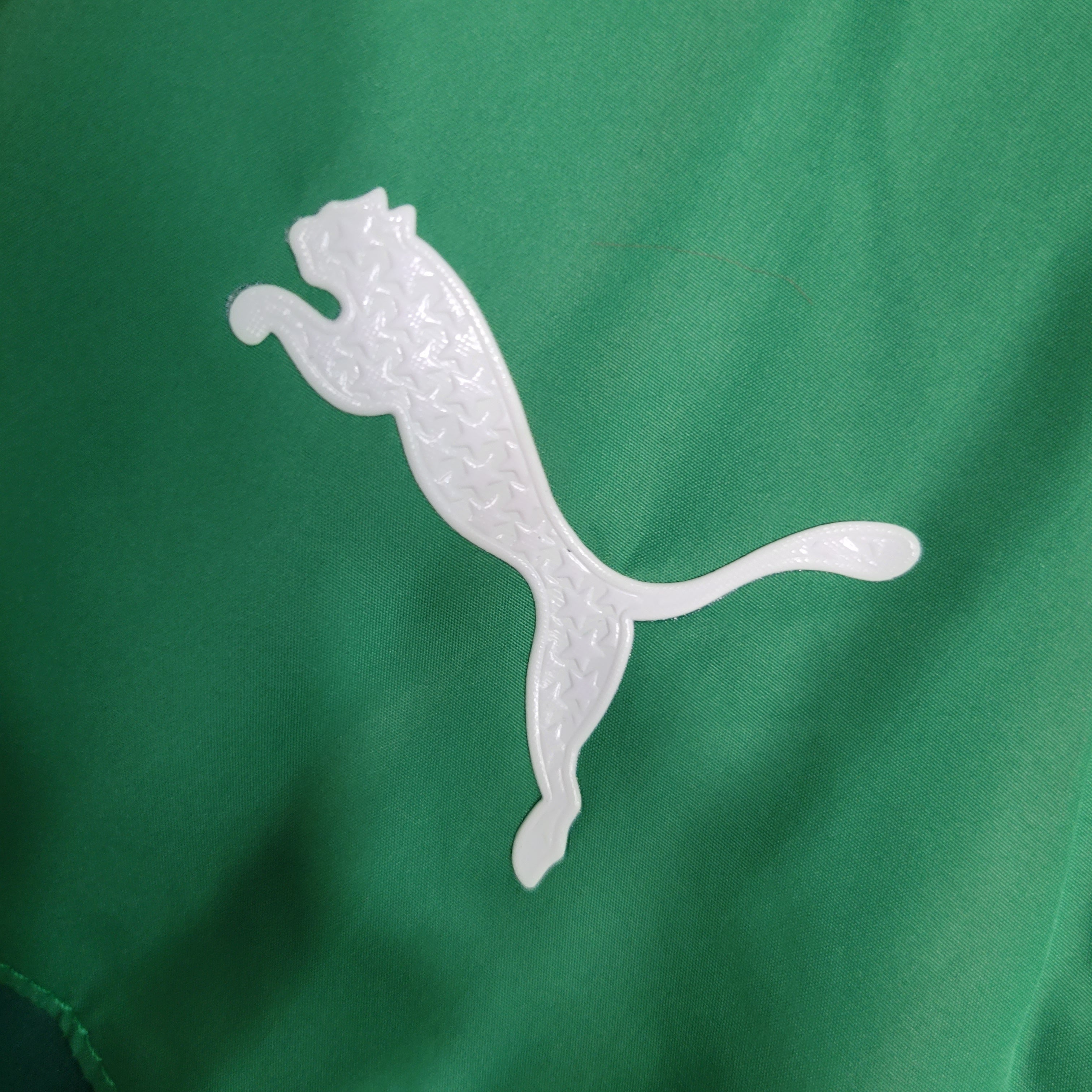 Windbreaker - Palmeiras 23/24