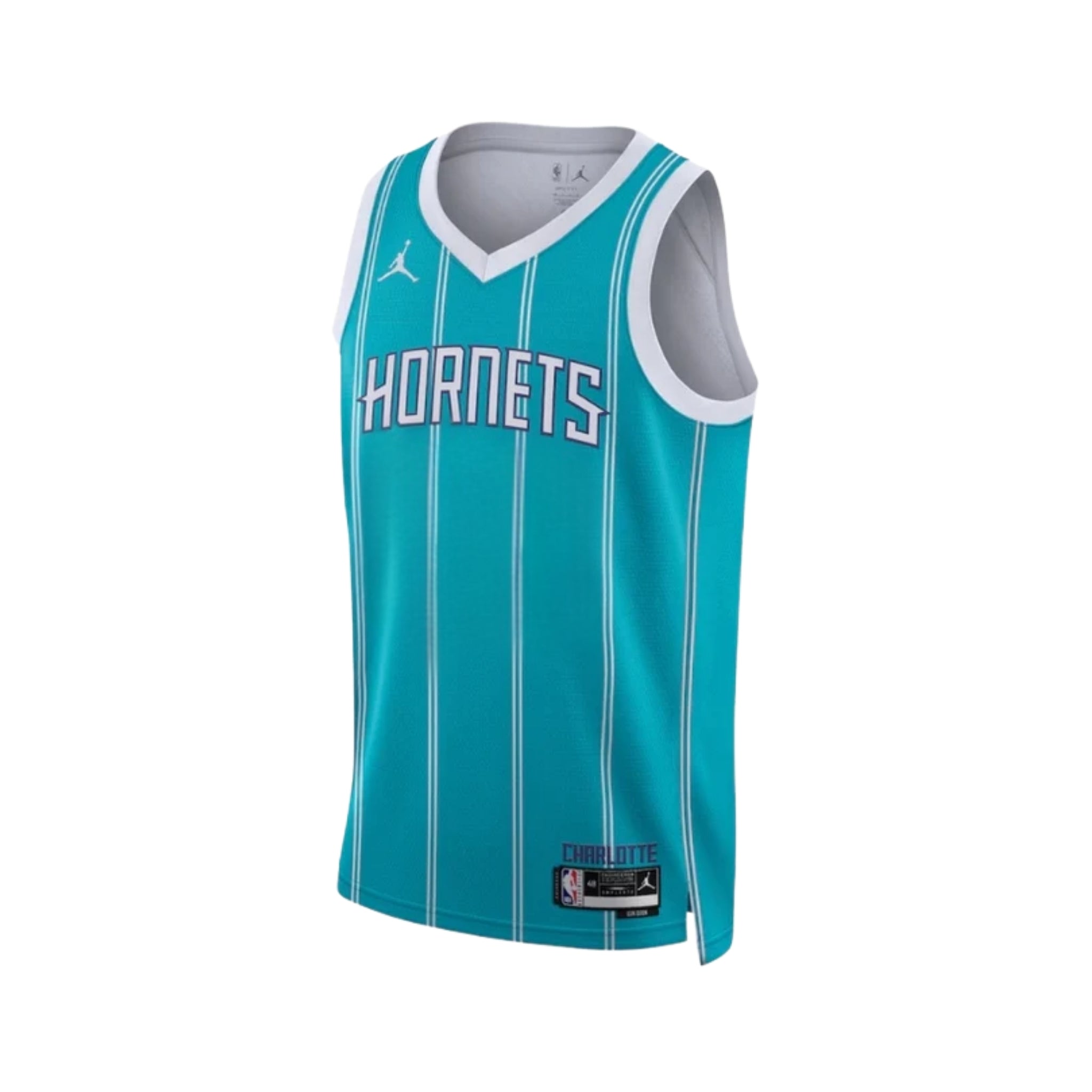 Charlotte Hornets Icon Edition 25/26