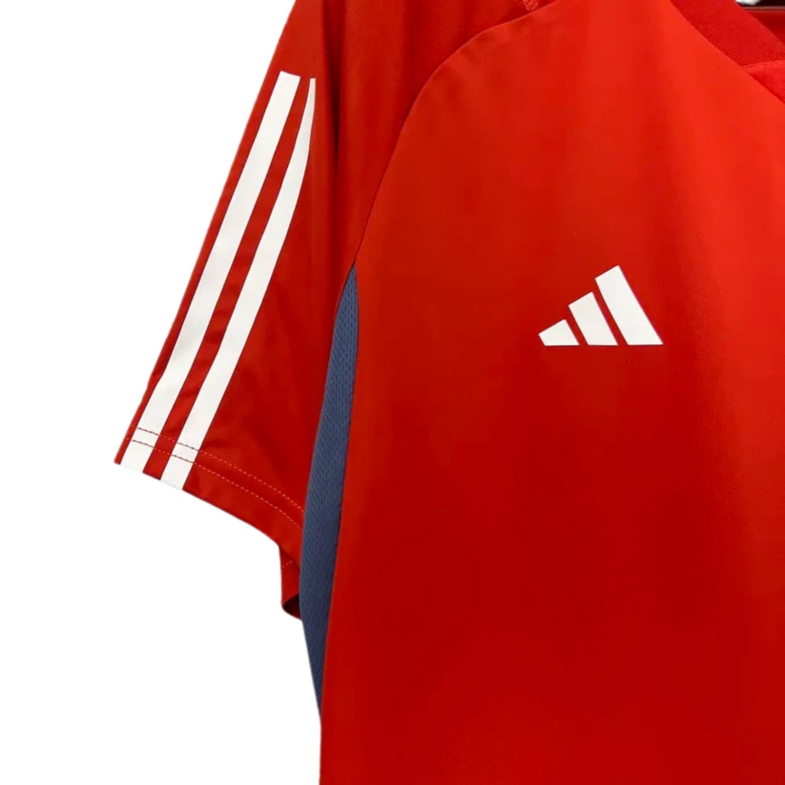 Cruzeiro Training 24/25