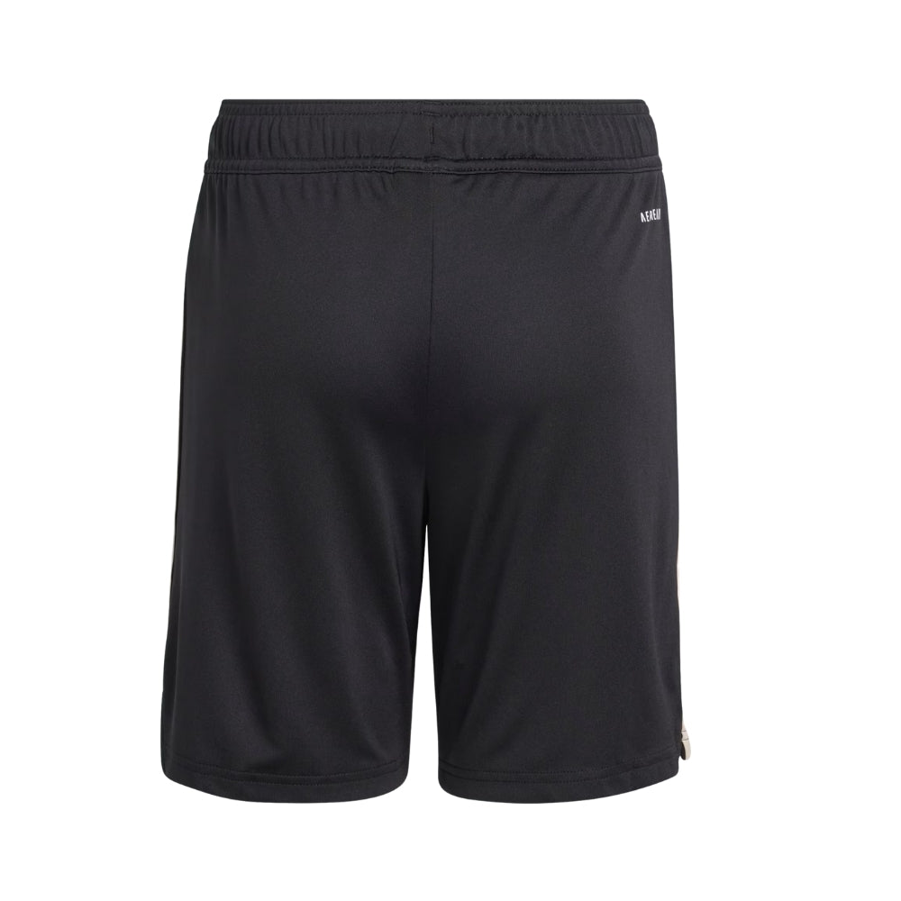 Shorts - Bayern Munique Third 25/26