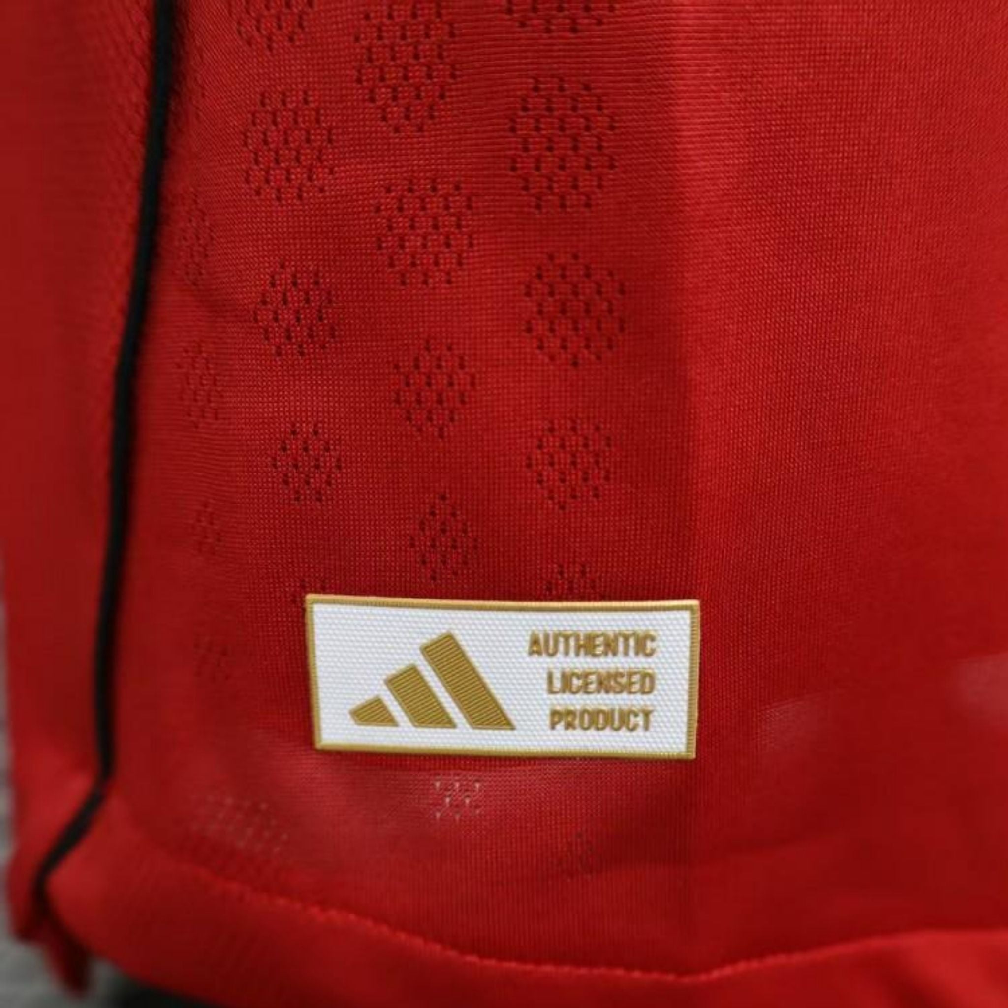 Manchester United Home 25/26 - Long Sleeve - Player Version