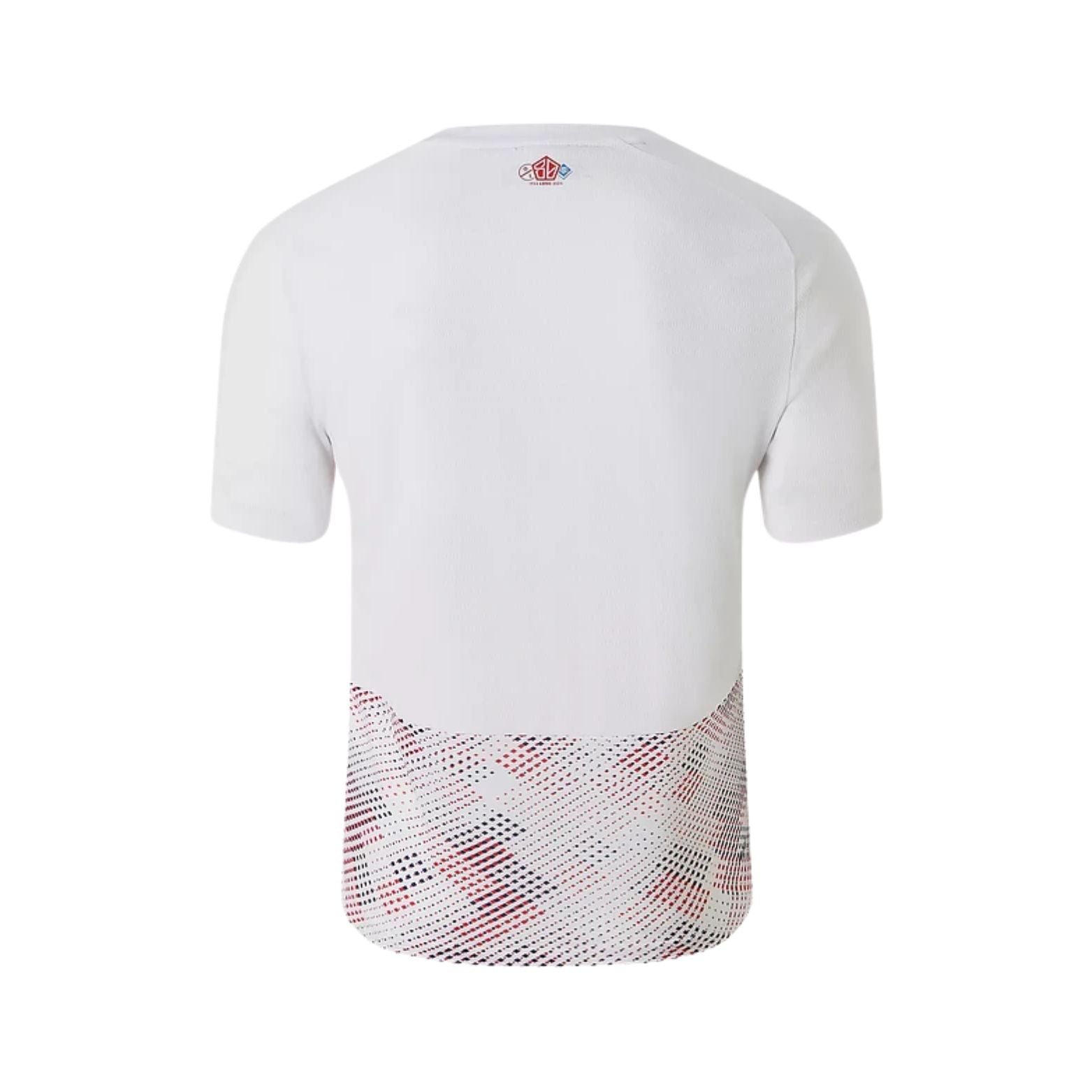 Lille Away 24/25