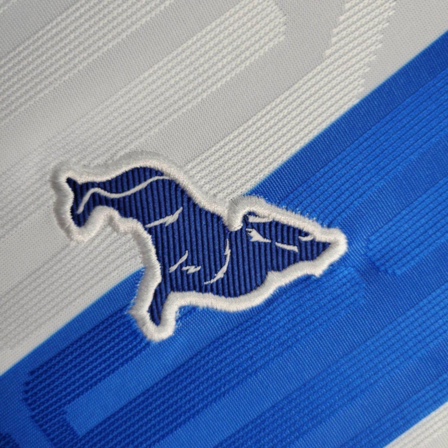 Paysandu Home 24/25 - Women’s Version