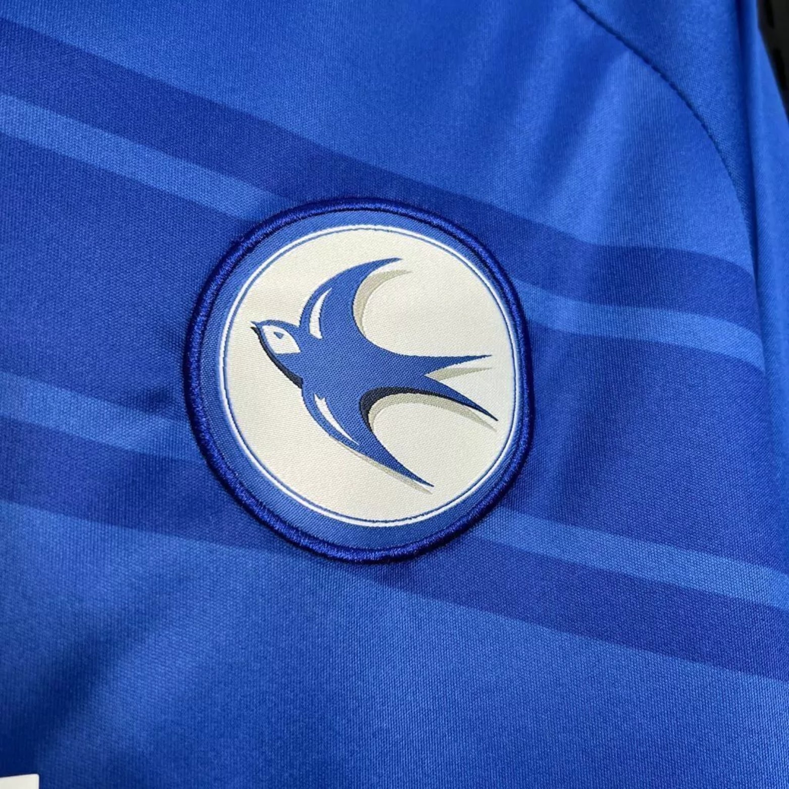 Cardiff City F.C. Home 24/25