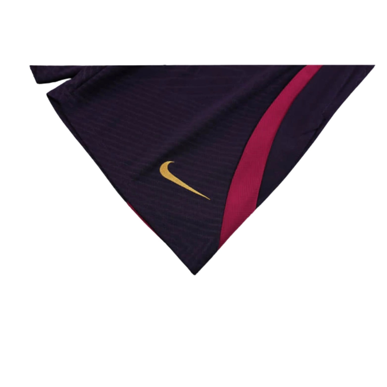Training Kit - PSG 24/25