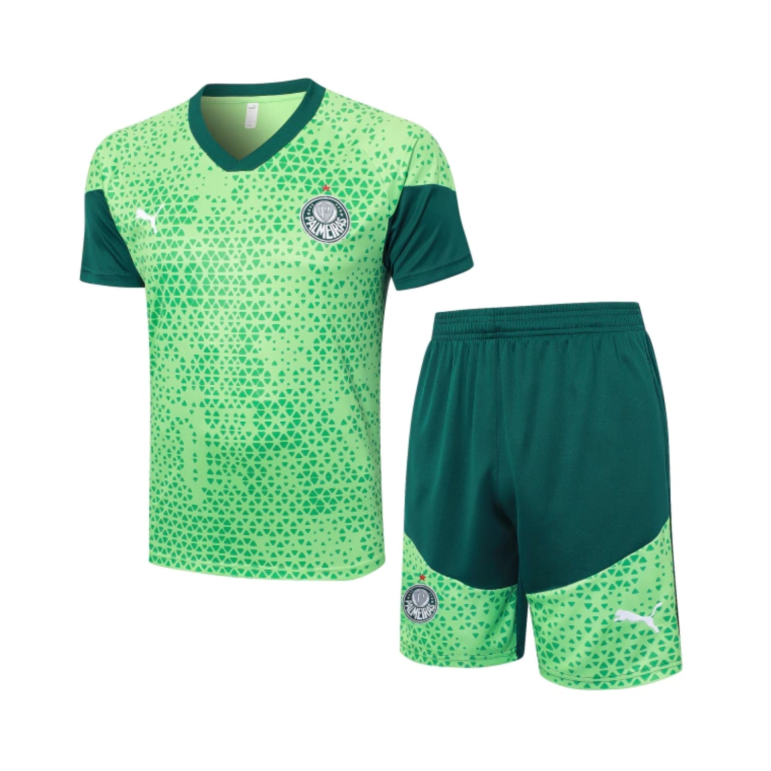 Training Kit - Palmeiras 24/25