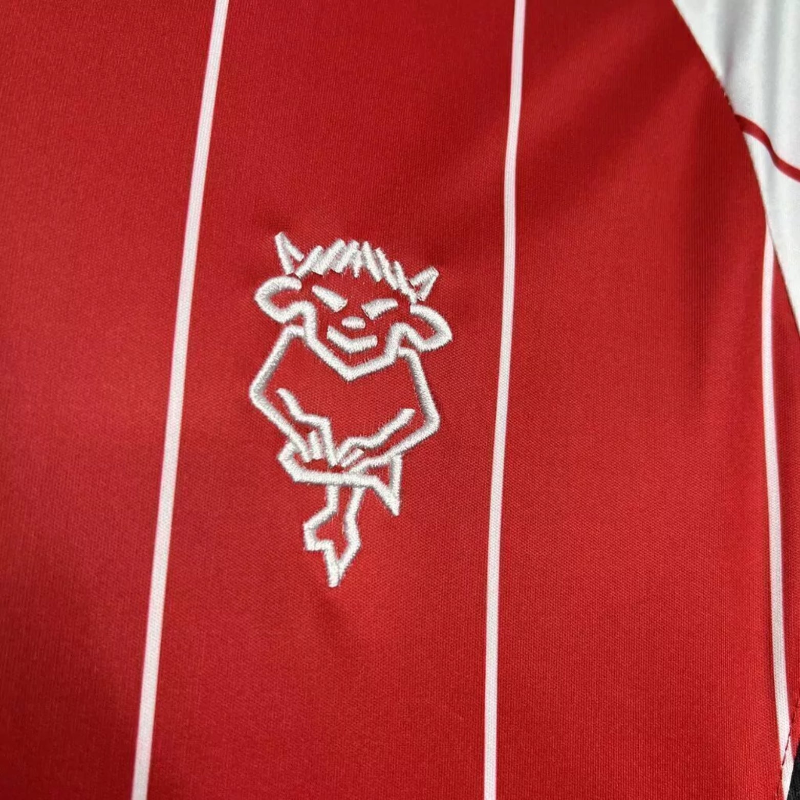 Lincoln City F.C. Home 24/25