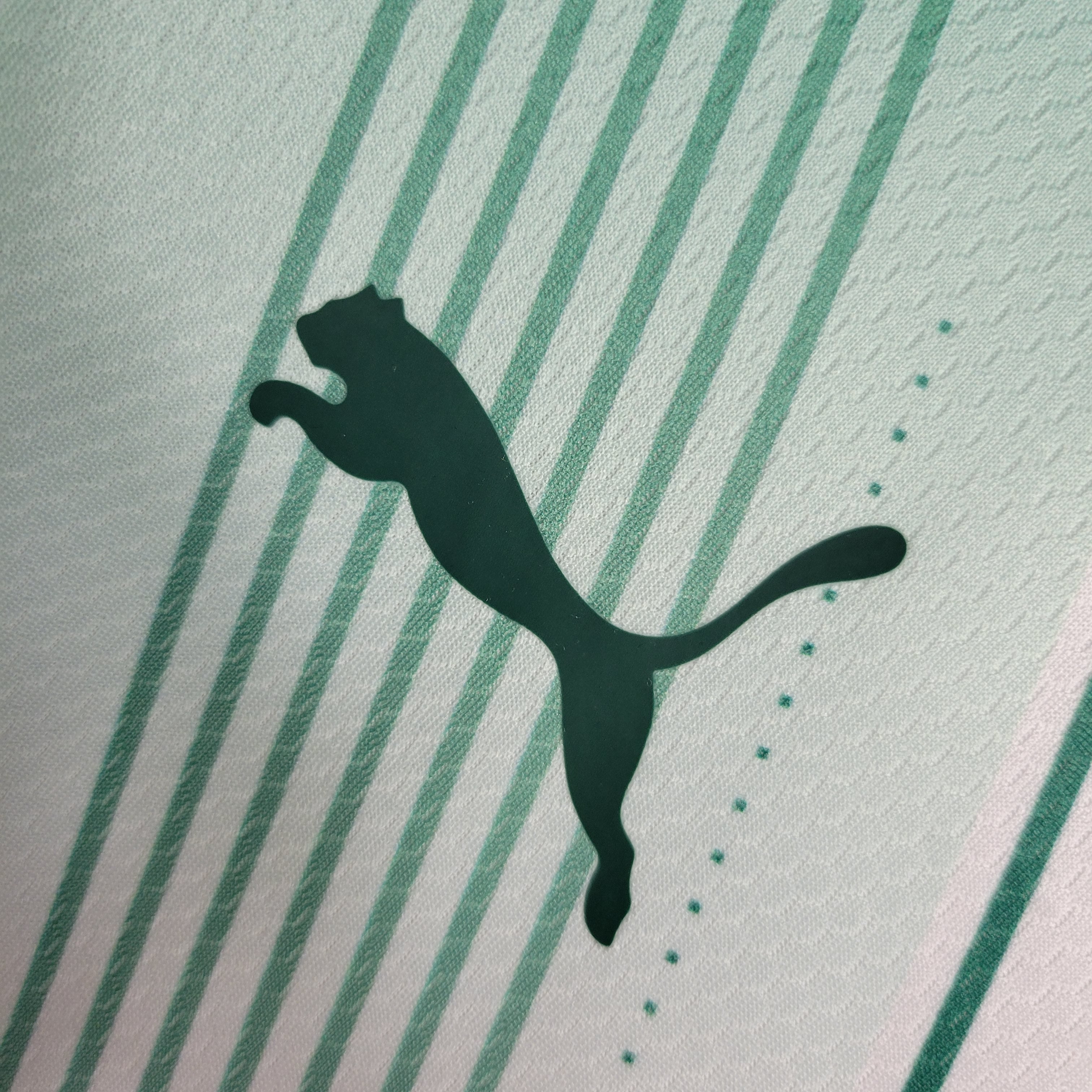 Palmeiras Training 23/24 - Sleeveless